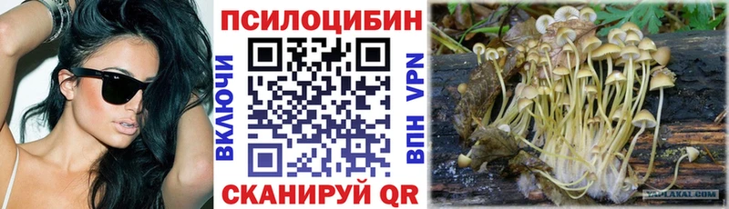 Галлюциногенные грибы мицелий  где купить наркотик  Прохладный 