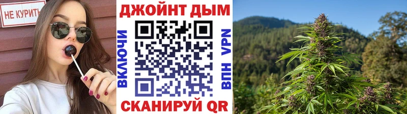 Каннабис конопля  Прохладный 